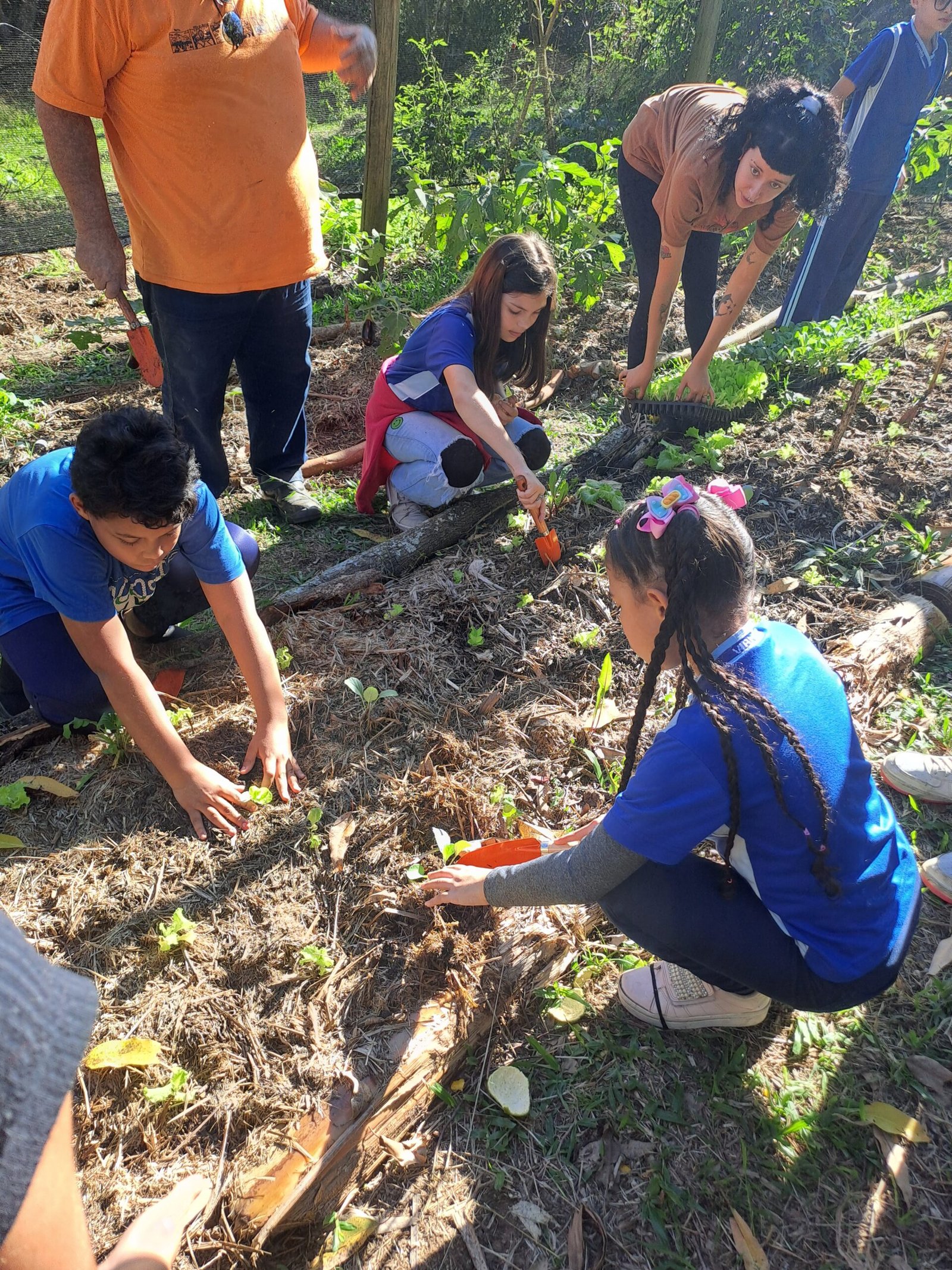 Estudantes aprendendo sobre o cultivo de mudas no SAF.