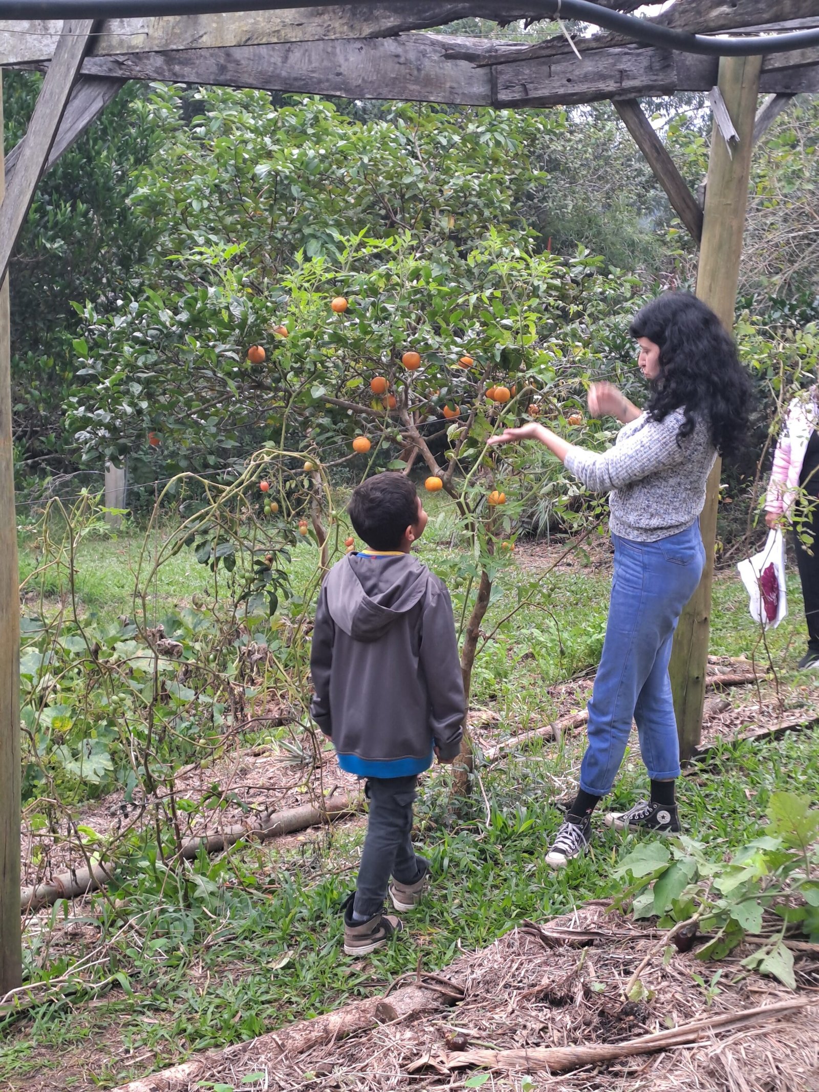 Voluntário João Marcelo a apresentar as abelhas nativas